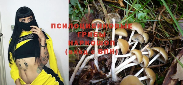 прущие крисы Арсеньев