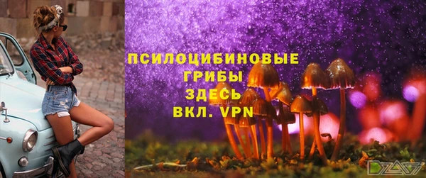 круглые Аркадак