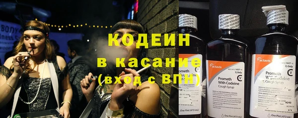 круглые Аркадак