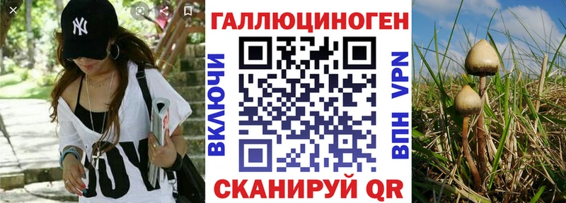Галлюциногенные грибы мицелий  площадка какой сайт  Полысаево 
